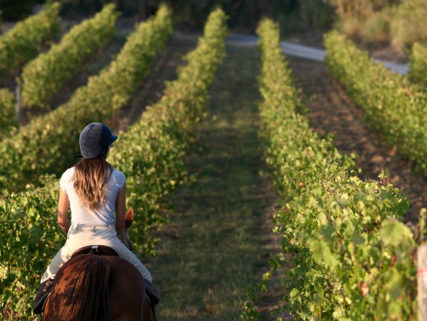 An Exclusive Horseback Experience in the Heart of Tuscany - At a glance