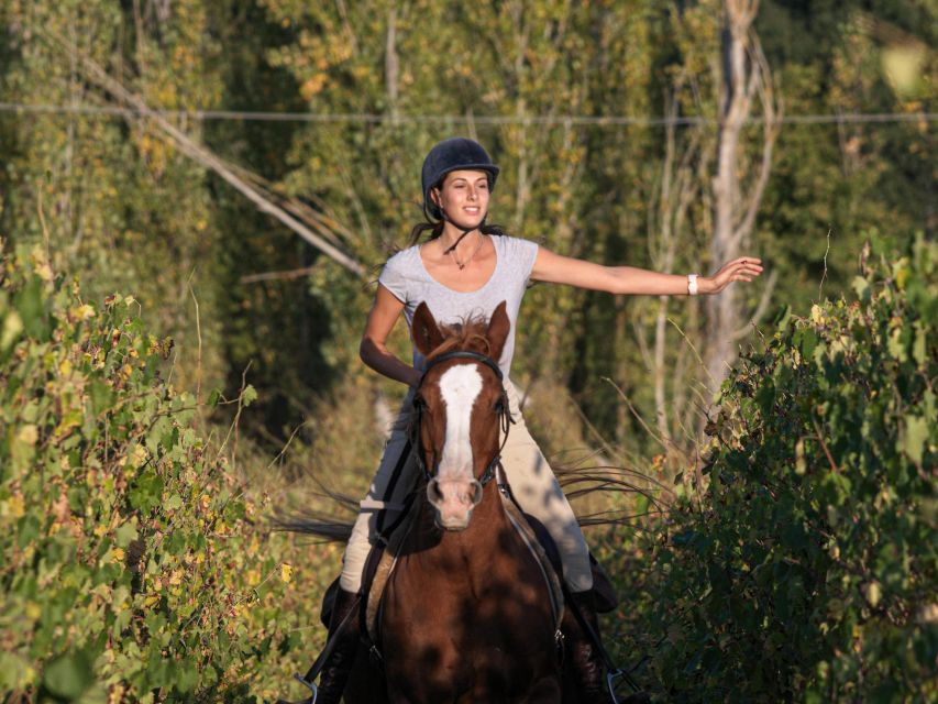 An Exclusive Horseback Experience in the Heart of Tuscany - Why this is a special way to see Tuscany