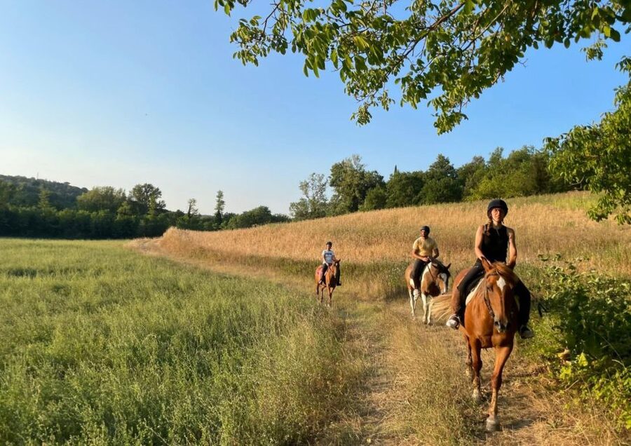 An Exclusive Horseback Experience in the Heart of Tuscany - How the small group changes the experience