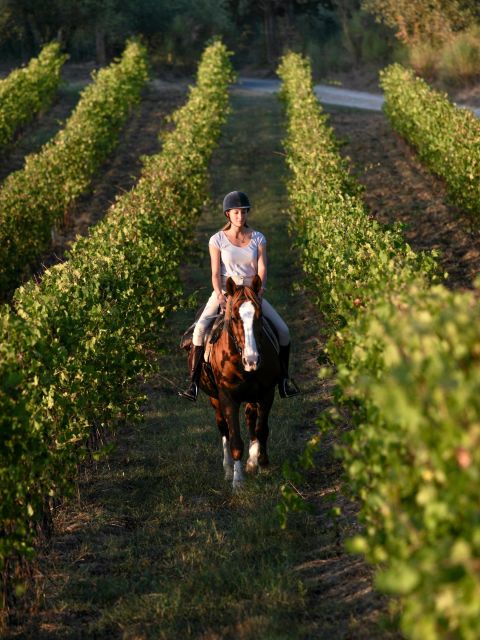 An Exclusive Horseback Experience in the Heart of Tuscany - Who should book this ride?