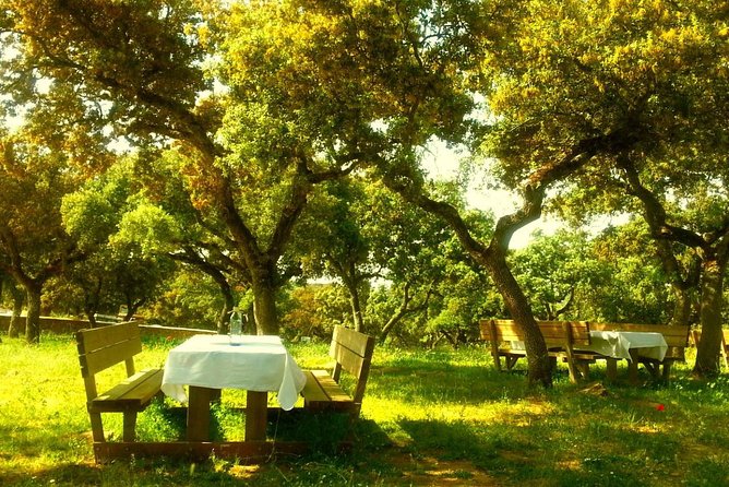 Andalucia Bull and Horse Farm and Ronda Private Tour from Malaga - Reservatauro Ronda: the two-hour farm visit