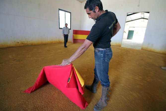 Andalucia Bull and Horse Farm and Ronda Private Tour from Malaga - The guide can make a major difference