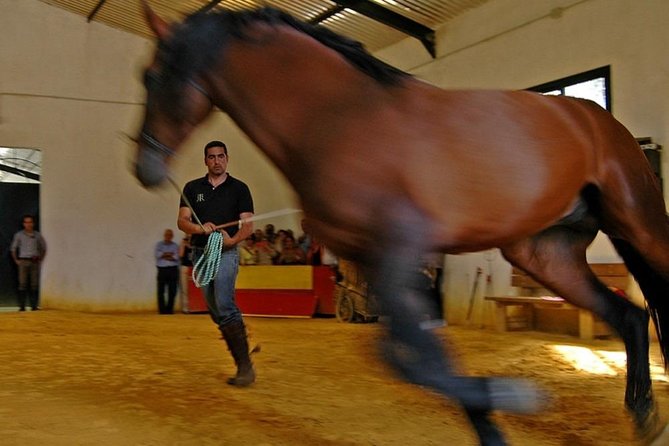 Andalucia Bull and Horse Farm and Ronda Private Tour from Malaga - Weather, clothing, and practical limits