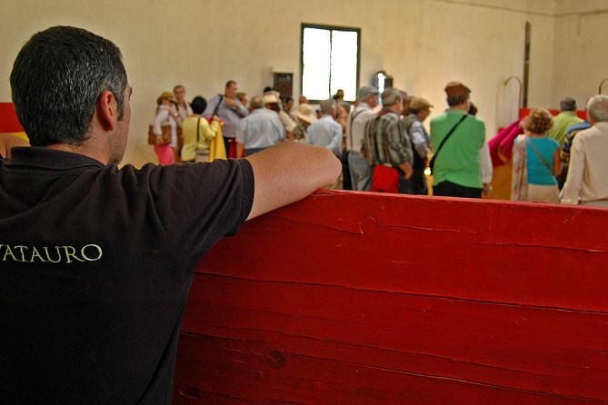 Andalucia Bull and Horse Farm and Ronda Private Tour from Malaga - The ride from Malaga in a private minivan