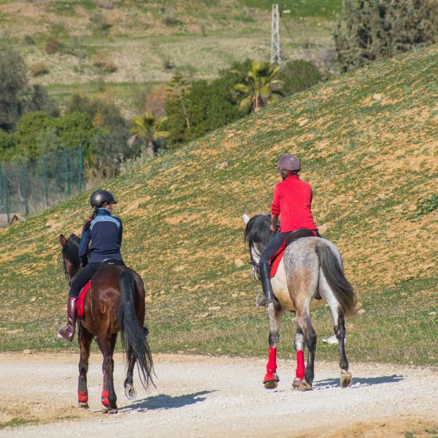 Andalucia: Horse Riding Tour with Picnic - Key points to know before you book