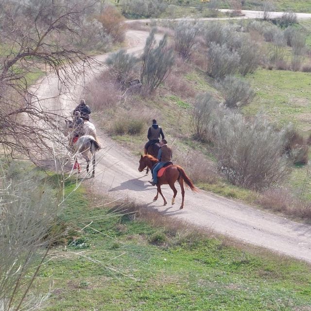 Andalucia: Horse Riding Tour with Picnic - Arriving at Cortijo del Arte