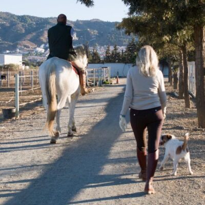 Andalucia: Horse Riding Tour with Picnic