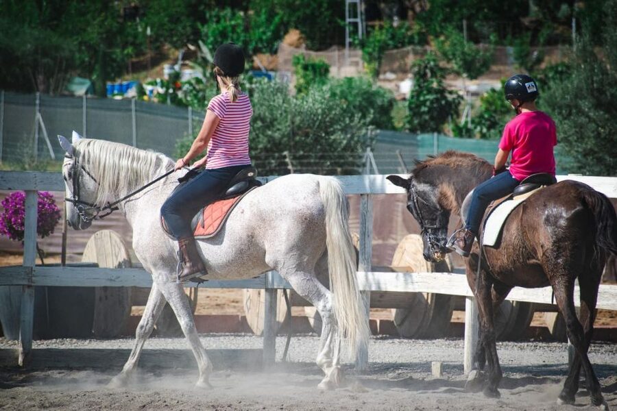 Andalucia: Horse Riding Tour with Picnic - What the $177 price really covers
