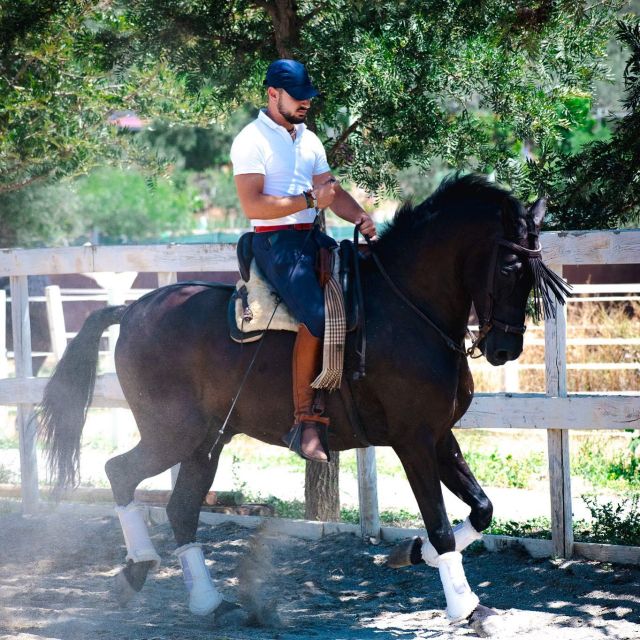 Andalucia: Horse Riding Tour with Picnic - The quality of the guiding