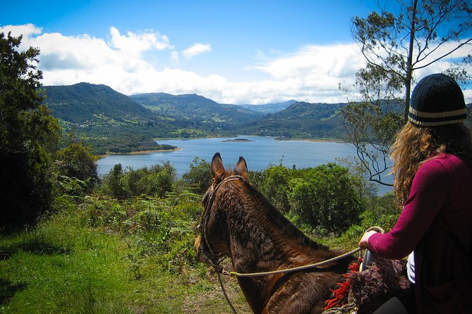 Andes Mountains Horseback Riding - Half Day - Key points to know before booking