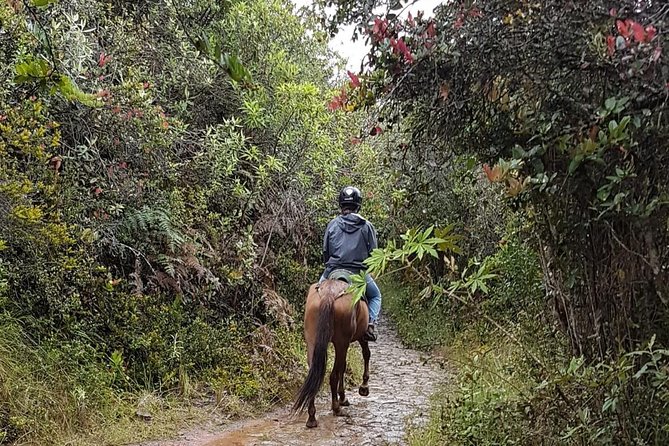 Andes Mountains Horseback Riding - Half Day - Riding farm trails, mountain paths, and open fields