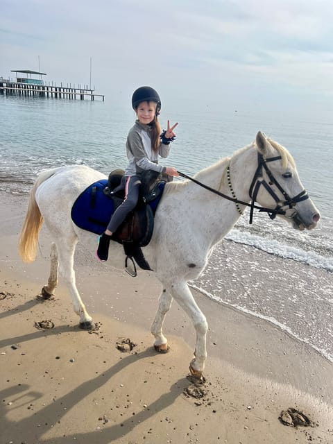 Antalya : Belek , Kundu , Horse Riding - The horses and guide support