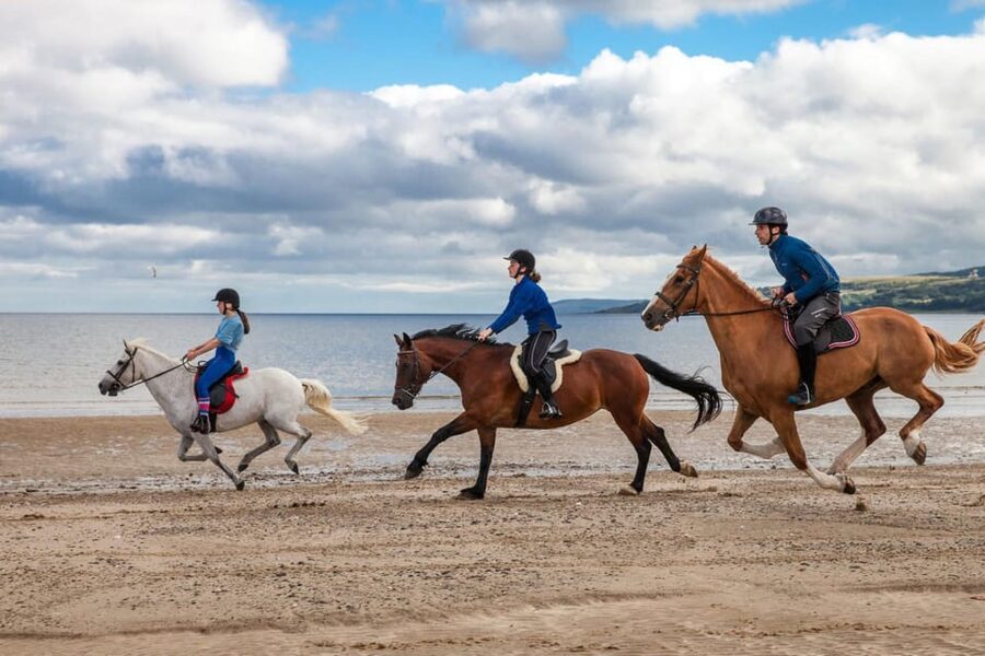 Antalya: Guided ATV and Horse Riding Safari in Lara - Why the small group size matters