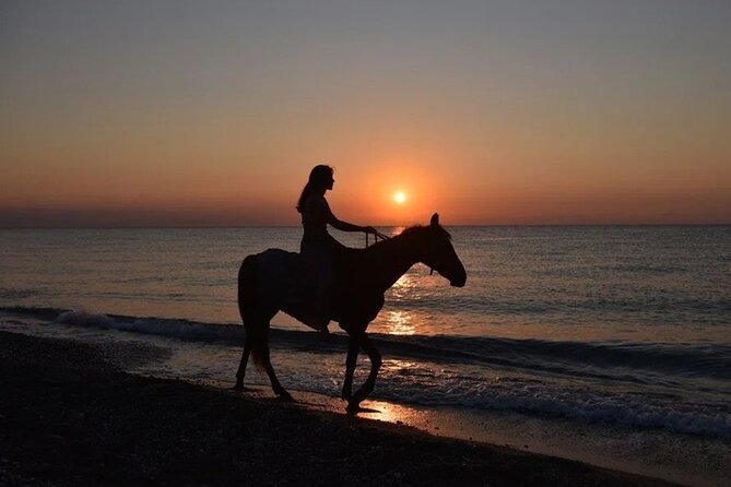 Antalya Horse Riding On Beach And Through The Forests For 2 Hours - Key points to know before you book