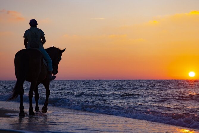 Antalya Horse Riding On Beach And Through The Forests For 2 Hours - What the Antalya ride is meant to offer