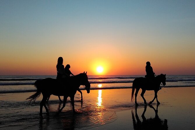 Antalya Horse Riding On Beach And Through The Forests For 2 Hours - Sunrise and sunset sessions