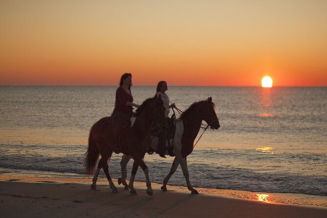 Antalya Horse Riding On Beach And Through The Forests For 2 Hours - Who should book this experience