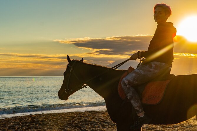 Antalya Horse Riding On Beach And Through The Forests For 2 Hours - Through the pine forest near Lara