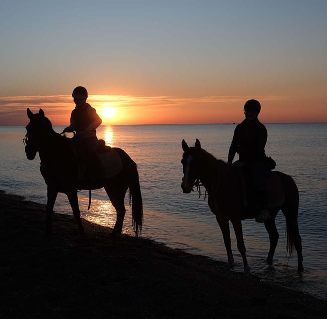 Antalya: Horse Riding on Sea and in the Forest - Who should choose this Antalya horse safari?