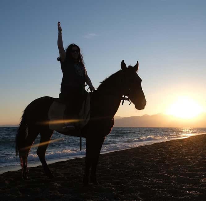 Antalya: Horse Riding on Sea and in the Forest - Safety, insurance, and practical limits
