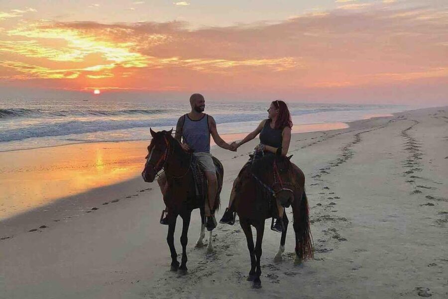 Antalya: Lara Beach & Forrest Horse Riding Safari - What the $58 price buys you