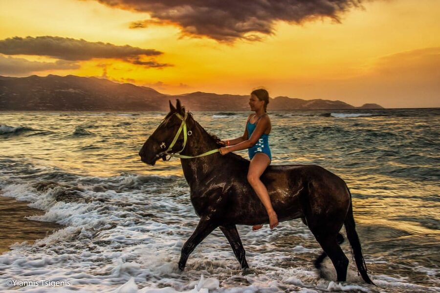 Antalya: Lara Beach & Forrest Horse Riding Safari - The first hour through trees and rural Antalya