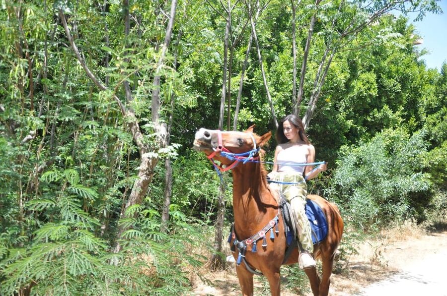 Antalya: Lara Beach & Forrest Horse Riding Safari - Cancellation and booking flexibility