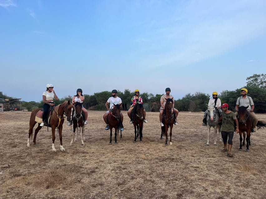 Antalya: Lara Beach & Forrest Horse Riding Safari - Should you book the Lara Beach horse ride?