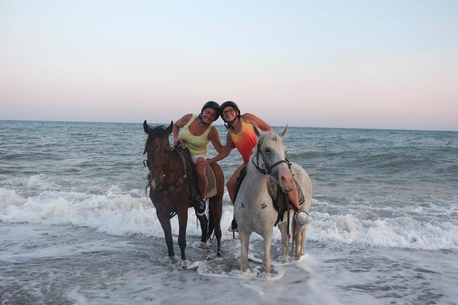 Antalya: Lara Beach & Forrest Horse Riding Safari - Meeting the horses and getting comfortable