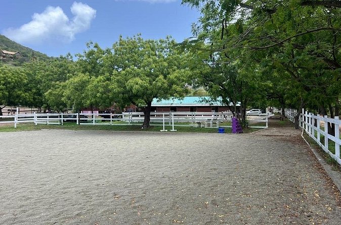 Antigua Horse Ride and Swim - Arriving at SpringHill Stables in Liberta