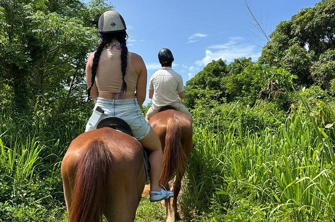 Antigua Horse Ride and Swim - Practical Planning Tips for the Afternoon