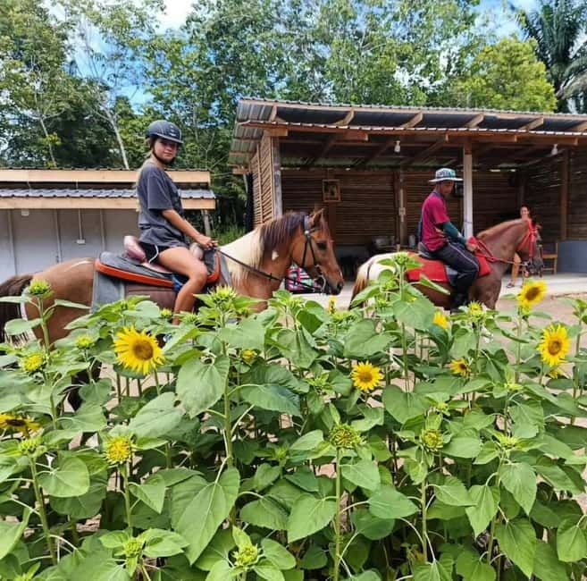Ao Nang: Horse Riding Tour and kayaking clongrood - Swimming in the clear lagoon
