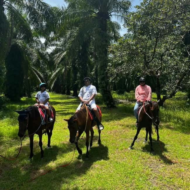 Ao Nang: Horse Riding Tour and kayaking clongrood - How to prepare for the ride and kayak