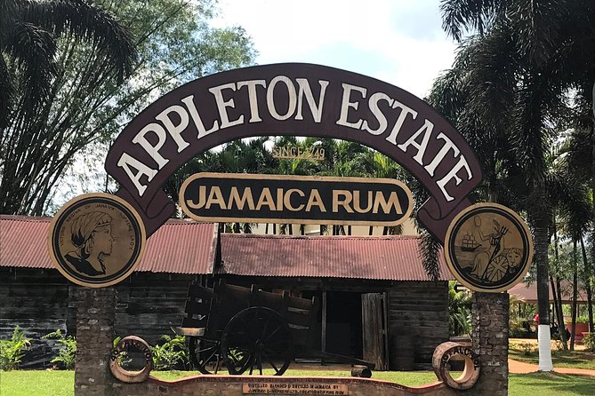 Appleton Rum Factory, YS Falls, and Reggae Horseback Ride & Swim Combo Tour - The day in six useful points