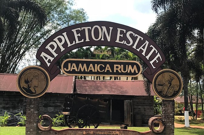 Appleton Rum Factory, YS Falls, and Reggae Horseback Ride & Swim Combo Tour - The 7 a.m. start and the road south