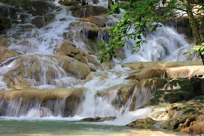 Aqua Fun Tours Dunns Falls, River Tubing and Horse Back - What the guides add to the experience