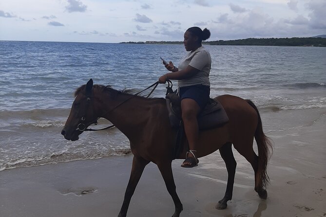 Aqua Fun Tours Dunns Falls, River Tubing and Horse Back - Is $170 a fair price?
