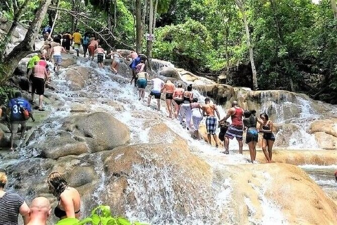 Aqua Fun Tours Dunns Falls, River Tubing and Horse Back - Who will enjoy this tour most?