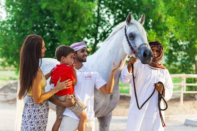 Arabian Morning Horse Riding & Stable Tour - Why the 8:00 am start matters in Bahrain