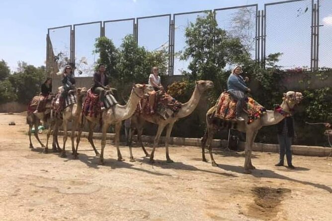 Arabian Nights immersion Pyramids Horse,camel Ride,Bedouin Tea - The Friday evening problem