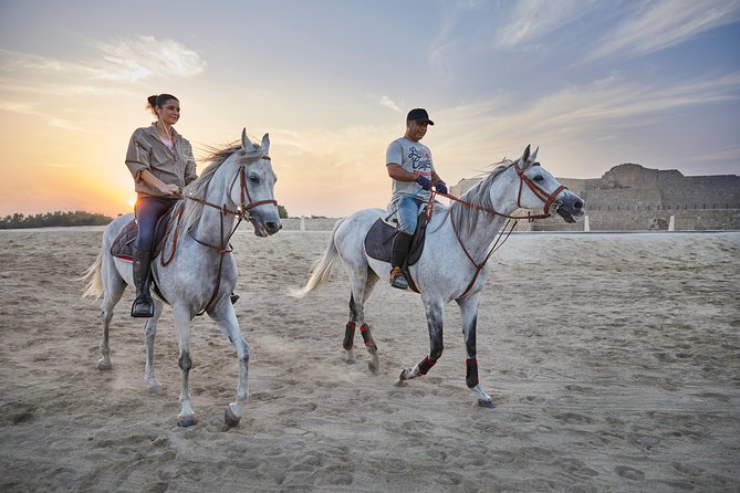 Arabian Sunset Horse Riding & Stable Tour - Meeting the Arabian Horses and Your Guide