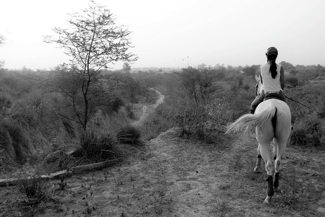 Aravali Trail Experience( Jungle Safari Forest area)- Horseback Riding - Riding into the Aravalli hills from Gurugram