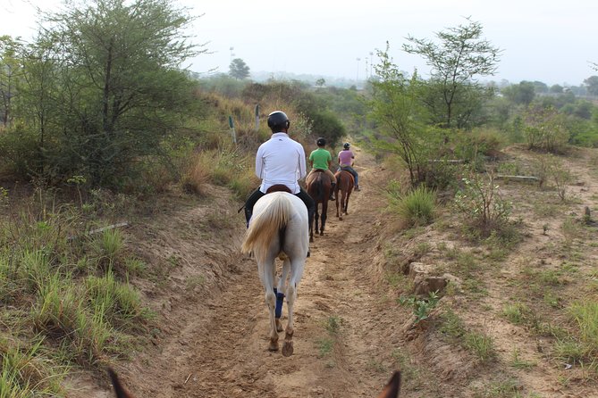 Aravali Trail Experience( Jungle Safari Forest area)- Horseback Riding - Who will enjoy this most
