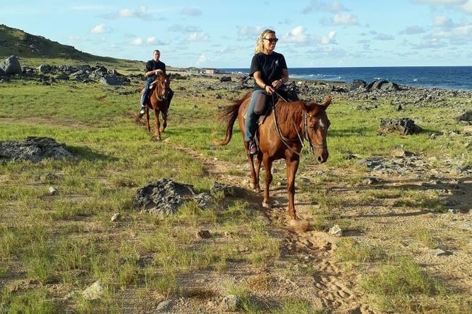 Aruba 2,5 hrs Horseback Riding For Advanced Riders - Key points to know before you book