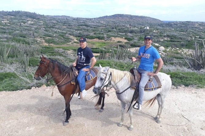 Aruba 2,5 hrs Horseback Riding For Advanced Riders - Riding beyond Aruba’s resort strip