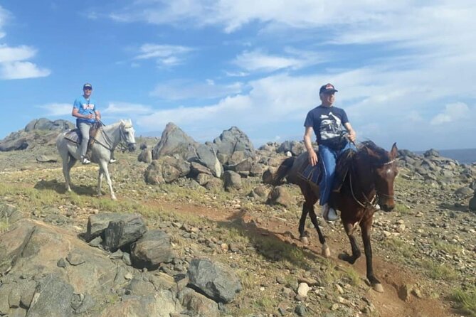 Aruba 2,5 hrs Horseback Riding For Advanced Riders - The ranch bar and the ride back