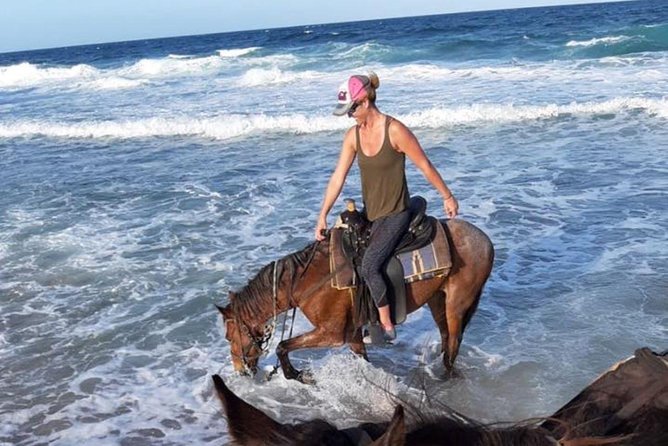Aruba 2,5 hrs Horseback Riding For Advanced Riders - Is the $214 price fair?