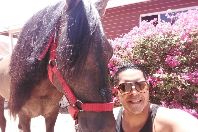 Aruba Beach Ecological Horseback Ride - Reaching Urirama Beach Cove