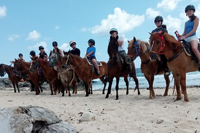 Aruba Beach Ecological Horseback Ride - A Beginner-Friendly Ride With Real Responsibilities
