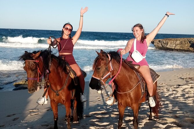 Aruba Beach Ecological Horseback Ride - What the Staff and Horses Add